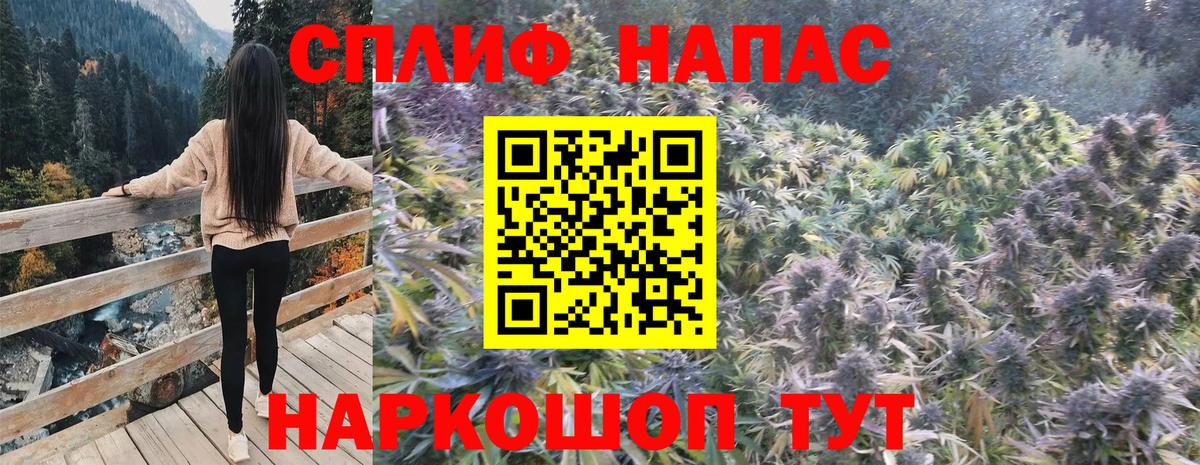 Конопля конопля  Конопля сатива  Конопля индика  Петрозаводск  Вход с VPN 
